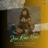 About Jaa Raha hoon Song