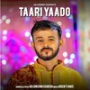 About Taari Yaado Song