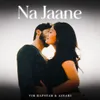 About Na Jaane Song