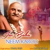 About Jai Baba Neem Karoli Song