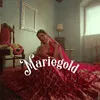 About Mariegold Song