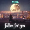 About FALLEN FOR YOU Song