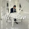 About Tere Bina Song