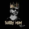 About Sorry mom Song