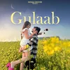 About Gulaab Song