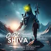 About O Re Shiva Song