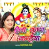 About Aela Krishna Kanhaiya Song