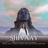 About SHIVAAY Song