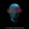 About Small Lies Song