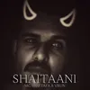 About Shaitaani Song