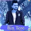 Bin Tere