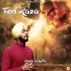 About Teri Raza Song