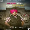 Pekke Pind Diyan Galiyan