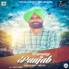 About Warning to Punjab Song