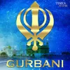 About Guru Sikhi Da Dharam Eaho Song