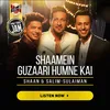 About Shaamein Guzaari Humne Kai Song