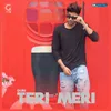 About Teri Meri Song