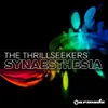 About Synaesthesia En-Motion Remix Song