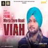 About Mera Tere Naal Viah Song