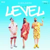 Level