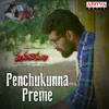 Penchukunna Preme