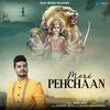 About Meri Pehchaan Song