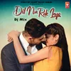 Dil Nu Rok Leyo Dj Mix