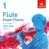 Globetrotters Flute Arr. for Piano