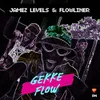 About Gekke Flow Song