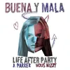 About Buena y Mala Song