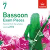 Bassoon Sonata