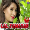 About Lal Tamatar Song