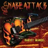 About Snake Attack Song