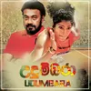 About Udumbara Song