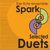 Trio for three flutes Op14 no1 Andante Cantabile (AB Furstenau)