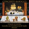 Largo ma non tanto - JS Bach - Concerto in D Minor for Two Violins and Strings BWV 1043