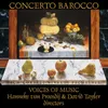 Largo - Antonio Vivaldi - Concerto In C Minor for Violin Organ and Strings RV 766