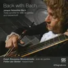 Sonata BWV 1027 in G major: andante