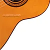 Classical Guitar I