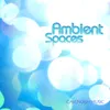 Ambient Spaces