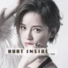 About Hurt inside Song