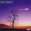 Sky, Concerto for Violin: Spirited