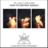 How to Destroy Angels (a Slow Fade to Total Transparency)-Recorded Live at the Air Gallery, 24/8/83