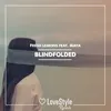 About Blindfolded-Extended Mix Song