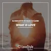 About What Is Love-Radio Mix Song