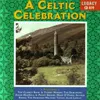 Irish Dougle Jigs / The Humours Of Glendart / The Joys Of Love