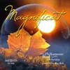 Magnificat in D Major, BWV 243: III. Quia Respexit (Instrumental Arr. by Jirka Kadlec)
