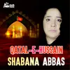 About Qatal-e-Hussain Song