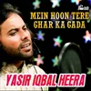 About Mein Hoon Tere Ghar Ka Gada Song