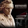 About Piano Concerto No. 1 in C Major, Op. 15: I. Allegro con brio Song